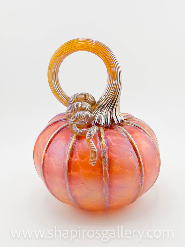 Tangelo Medium Pumpkin