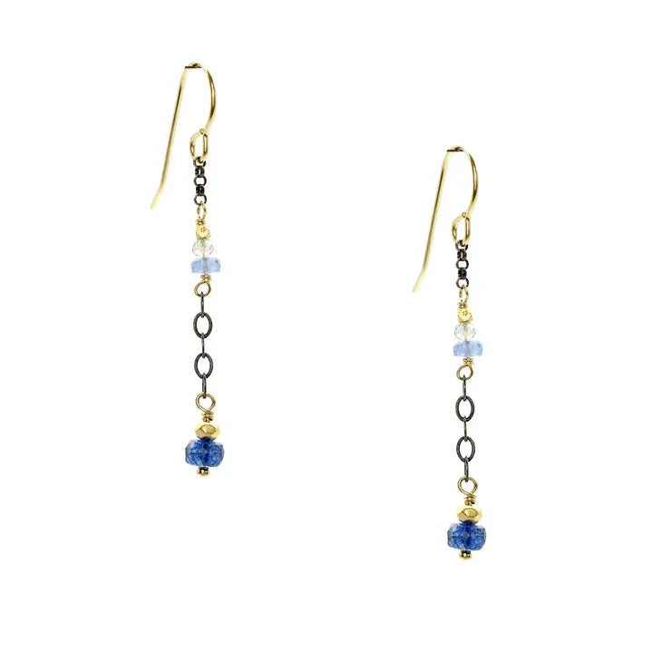 Tanzanite and Blue Sapphire Earrings