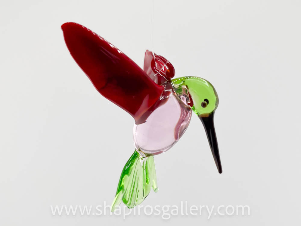 Glass Hummingbird