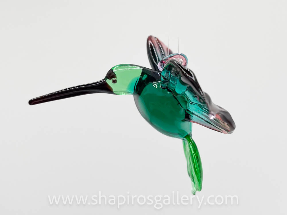 Glass Hummingbird