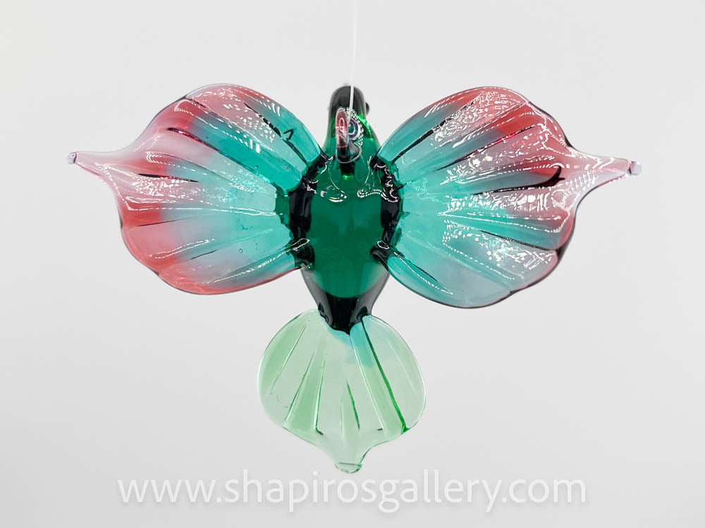 Glass Hummingbird