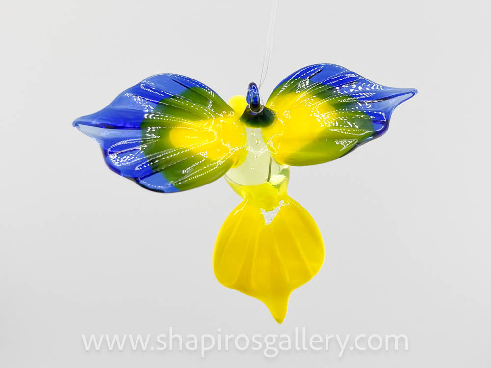 Glass Hummingbird