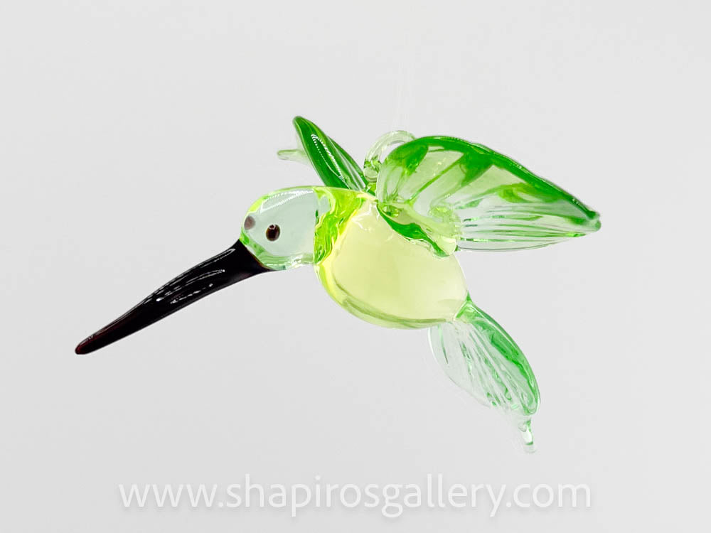 Glass Hummingbird