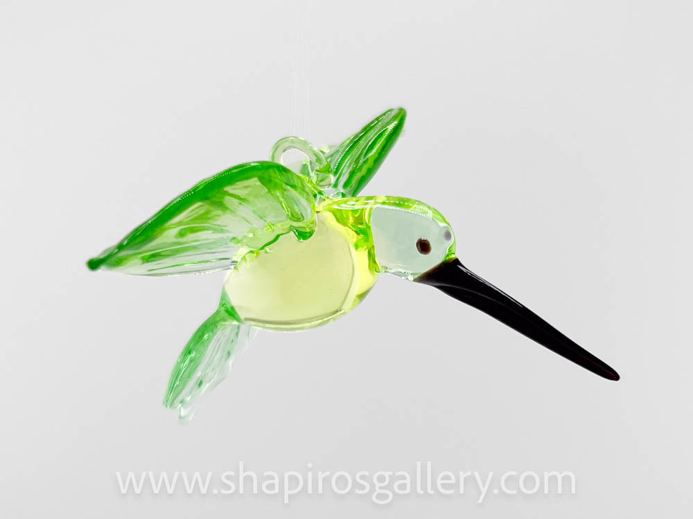 Glass Hummingbird