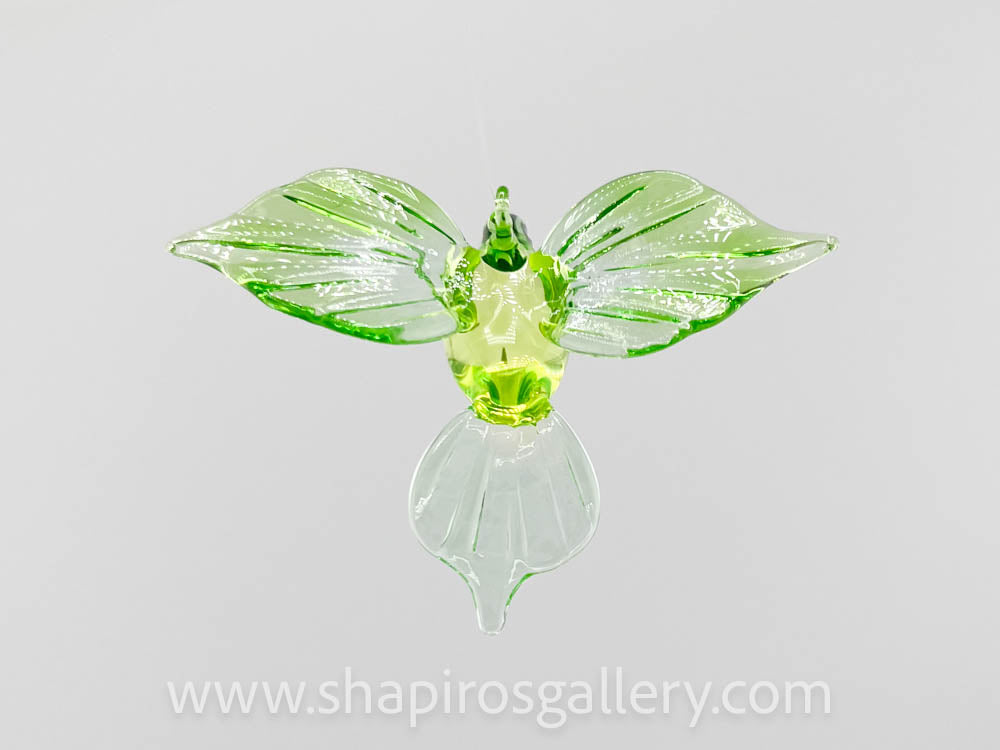 Glass Hummingbird