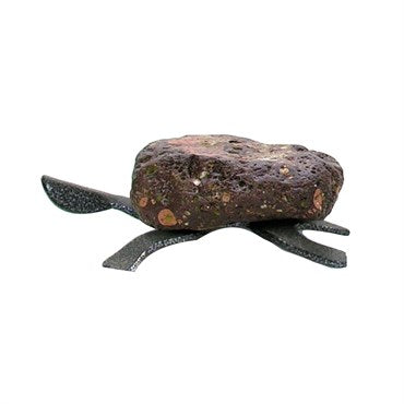 Large Turtle